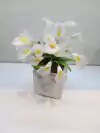 Maceta con calas
