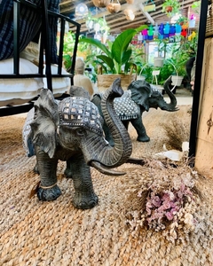 ELEFANTE en internet