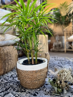 Cesta fibra natural