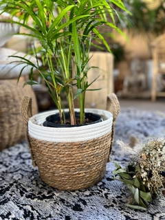 Cesta fibra natural - comprar online