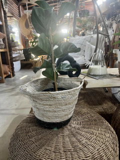 CESTA FIBRA NATURAL