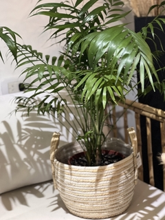 CESTA FIBRA NATURAL