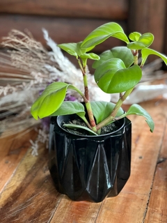 MACETA CERAMICA