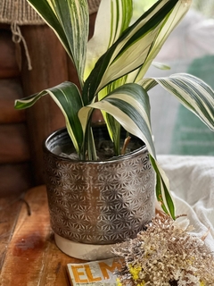 MACETA CERAMICA