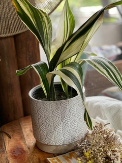 MACETA CERAMICA