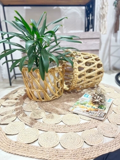 CESTA JUNCO