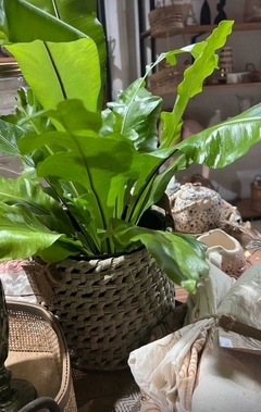 CESTA FIBRA NATURAL - comprar online