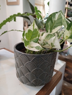 MACETA CERAMICA