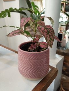 MACETA CERAMICA