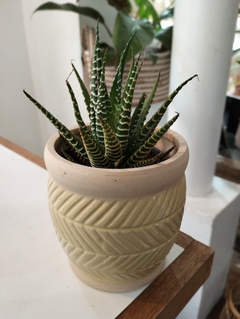 MACETA CERAMICA en internet