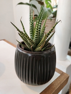 MACETA CERAMICA