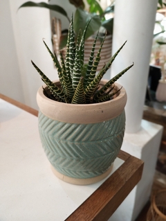 MACETA CERAMICA - comprar online