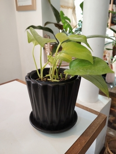 MACETA CERAMICA