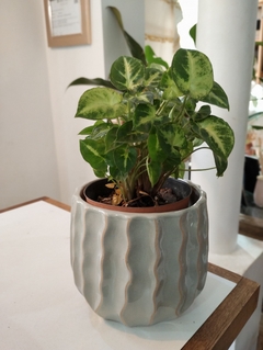 MACETA CERAMiCA - comprar online