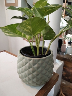 MACETA CERAMICA