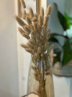 FLORERO