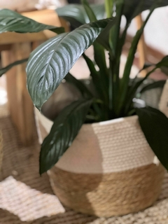 CESTA FIBRA NATURAL - comprar online