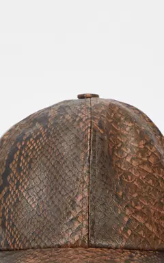 Gorra Ralph en internet