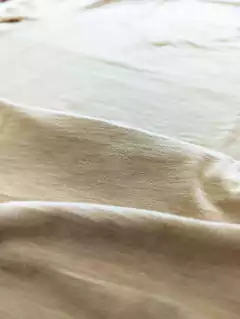 Imagen de Remera V Bianca