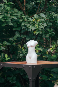 TORSO VENUS MINI - comprar online