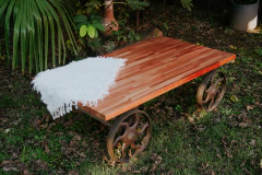 Mesa ratona tipo zorra en internet