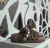 Bolon Leopardo en internet