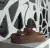 Birk