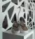 555/07 Animal - comprar online