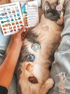 Kit chakra reiki para animales