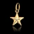 Pingente Estrela