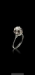 Solitario - comprar online