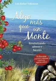 ALGO MAS QUE UN MONTE