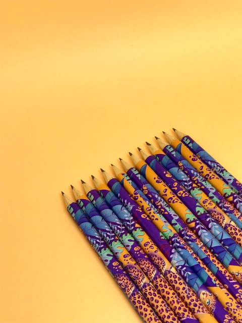 Quarteto Lápis Onça