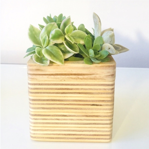 Maceta Cuadrada - comprar online