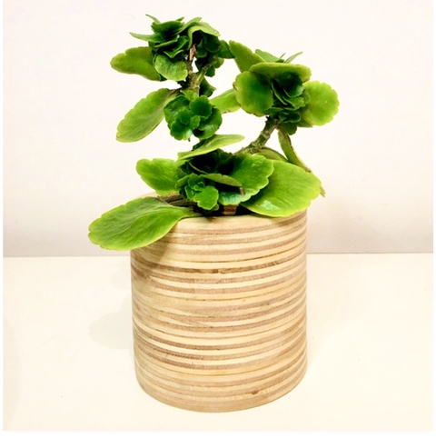 Maceta redonda - comprar online