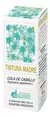 TINTURA MADRE COLA DE CABALLO 60cc - comprar online