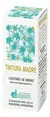 TINTURA MADRE CASTAÑO DE INDIAS 60cc - comprar online