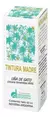 TINTURA MADRE UÑA DE GATO 60cc - comprar online