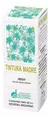 TINTURA MADRE AMBAY 60cc - comprar online