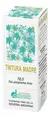 TINTURA MADRE TILO 60cc - comprar online