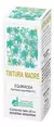 TINTURA MADRE EQUINÁCEA 60cc - comprar online