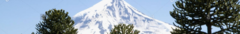 Banner de la categoría Chombas