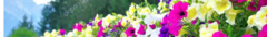 Banner de la categoría Chalecos