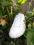 Urbana Vanner 283