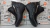CLA LORENA CLARIS BOTA 36/41 - tienda online