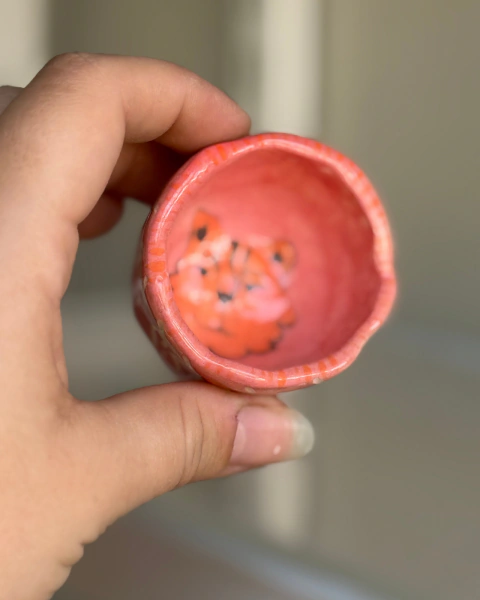 Mini dip tigre