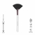 Fascino Brocha Abanico Crueltyfree en internet