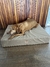 Cama CHARO Rectangular - tienda online