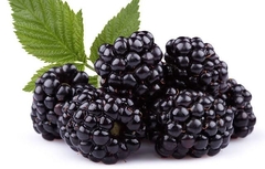 BLACKBERRY 200GR