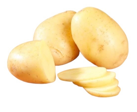 PAPA ALPHA DE PRODUCCIÓN REGULAR